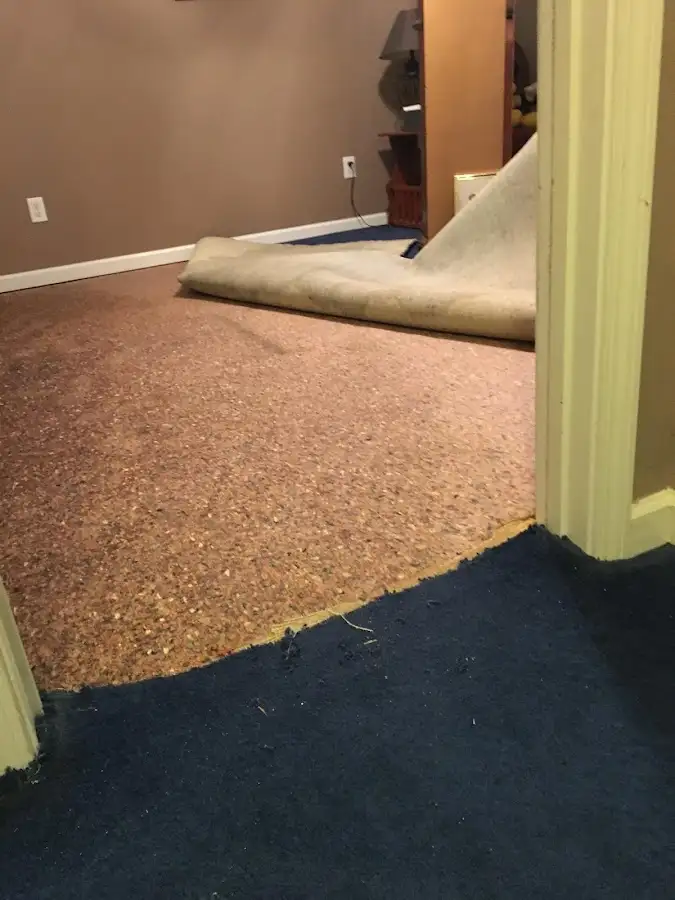 Carpet pad removal revealing water damage during Water Mitigation Services in Glenolden